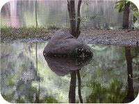 בית קרישנמורטי, מדרס