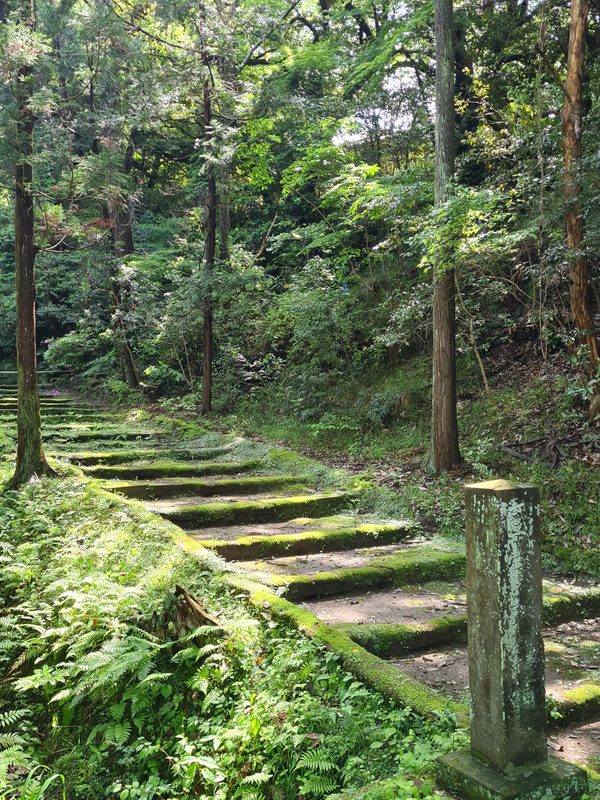 Japan – Kamakura 2024