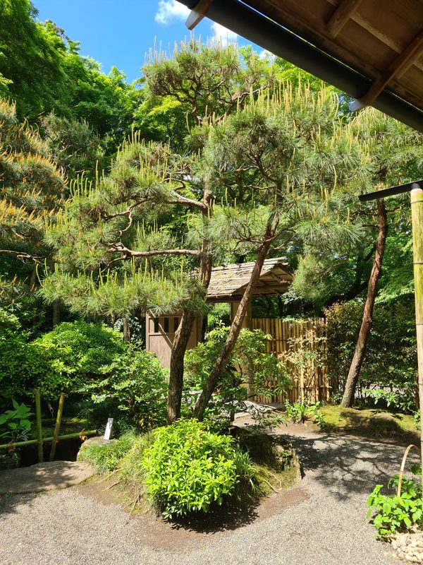 Japan – Kamakura 2024