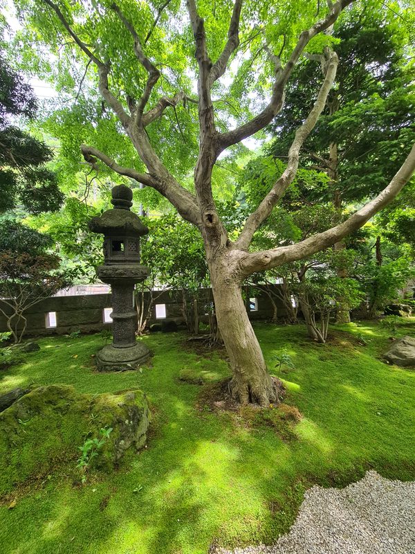 Japan – Kamakura 2024