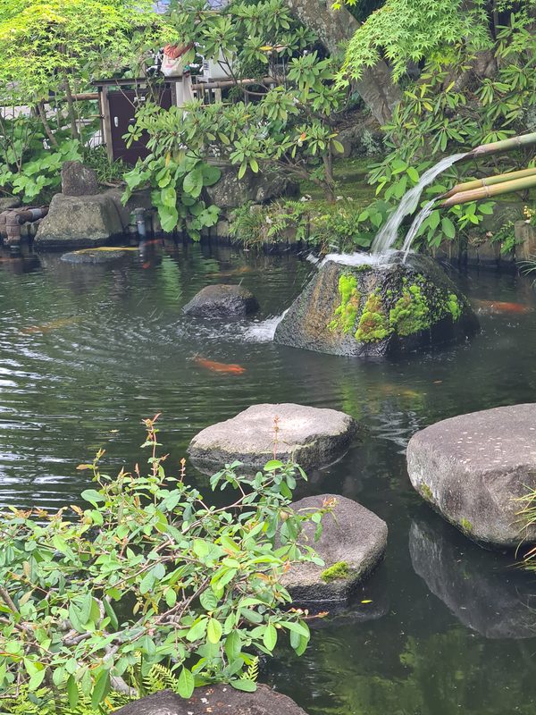 Japan – Kamakura 2024