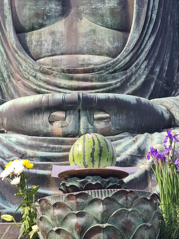 Japan – Kamakura 2024