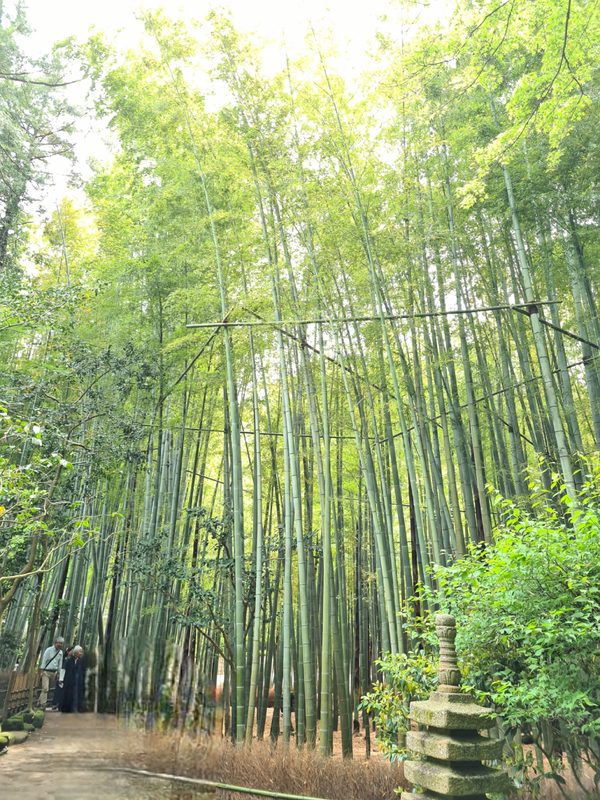 Japan – Kamakura 2024