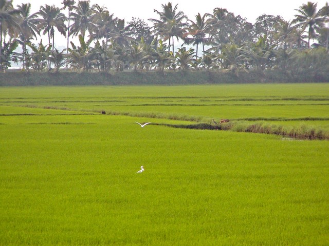 לחיות בשלום עם הכסף